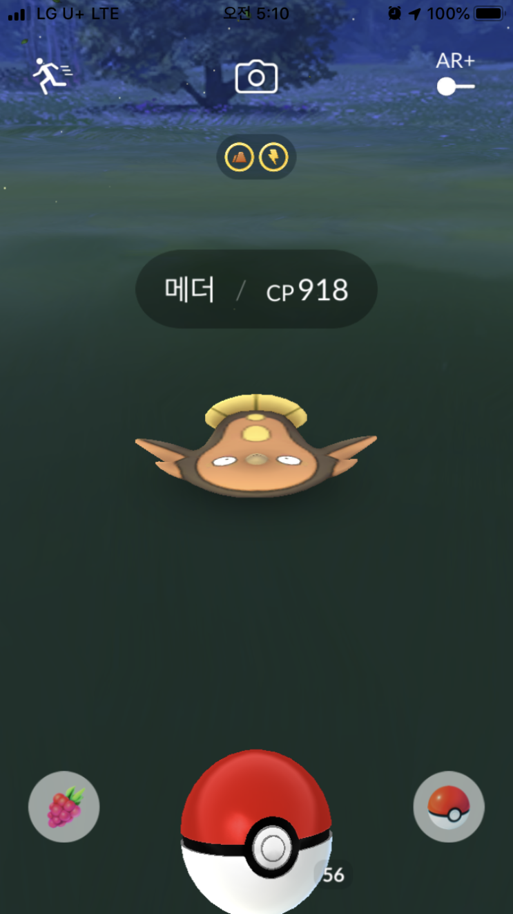  메더