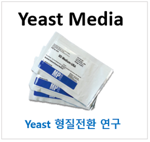 [BEST] Yeast 선택배지(Synthetic Defined Media)