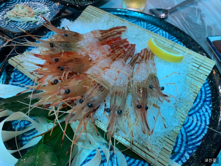  [부산해운대맛집]해운대독도꽃새우_내돈내산