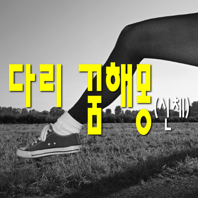 [신체 다리 꿈해몽] 다리꿈 발꿈