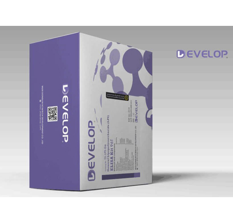  DLdevelop Traditional ELISA kit (DL-FGF3-Ra~DL-SCT-Hu)