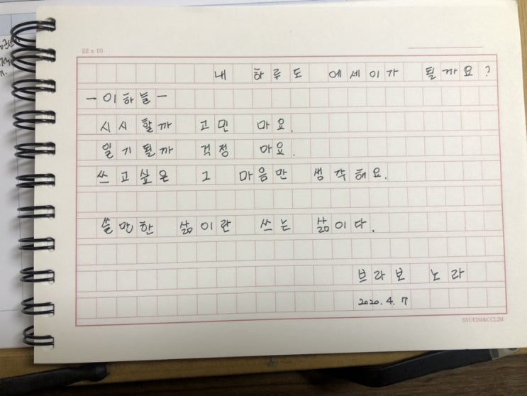  브라보 노라의 내 하루도 에세이가 될까요? Yes!