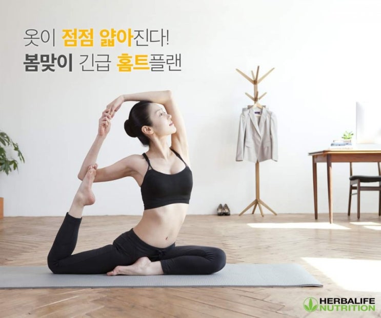  봄맞이 긴급 홈트플랜 스트래칭 플랭크운동 복수동점핑운동 효과좋은운동