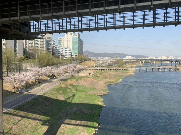  주말산책