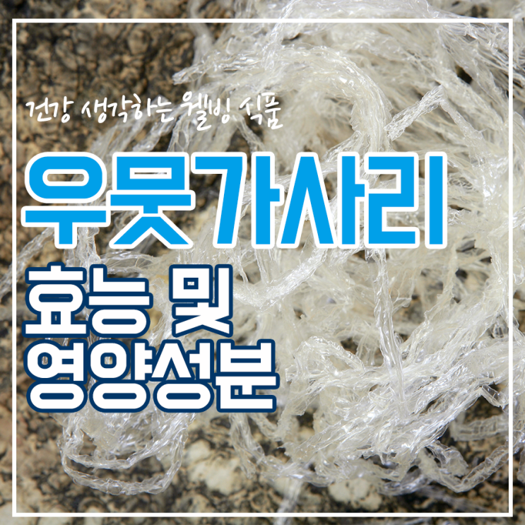  칼륨많은 우뭇가사리 효능과 영양성분