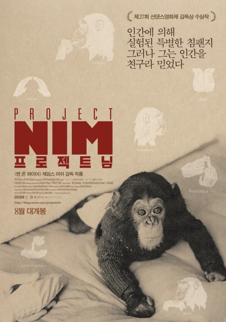 침팬지 수화 실험 - 감동적인 과학다큐멘터리 &lt;프로젝트 님&gt;