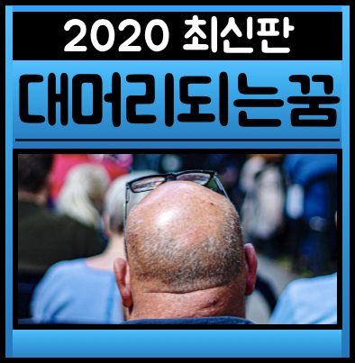 머리빠지는꿈 대머리되는꿈 탈모되는꿈 해몽 총정리판