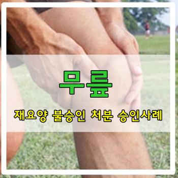  재요양 불승인건 승인사례