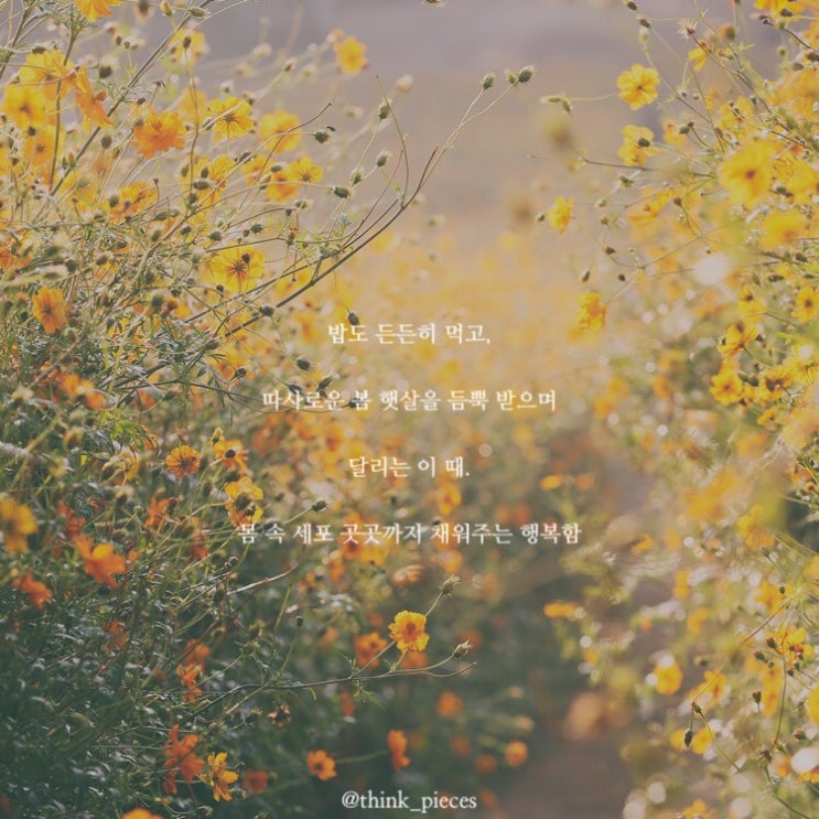  봄, 행복