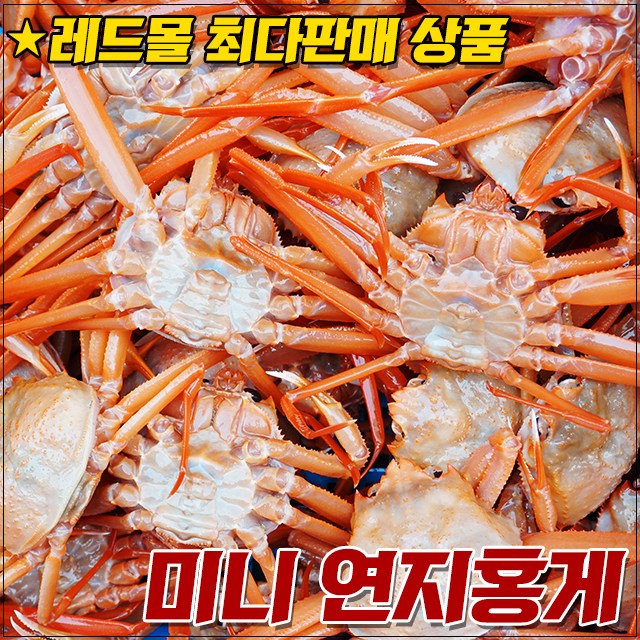  [뜨는상품][핫한상품]레드몰 (반짝세일)[자숙]미니 연지홍게 10마리(1.5~2kg)~, 1개, 10마리(1.5~2kg) 제품을 소개합니다!!