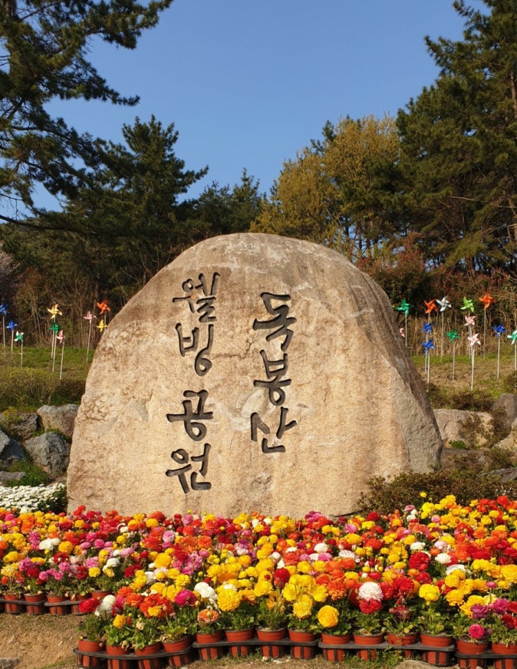  거제 독봉산 웰빙공원 봄꽃구경