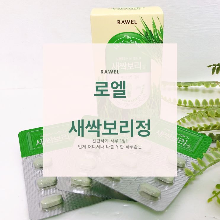  새싹보리 효능 로엘 새싹보리정 몸에 좋은 새싹보리 편하게~