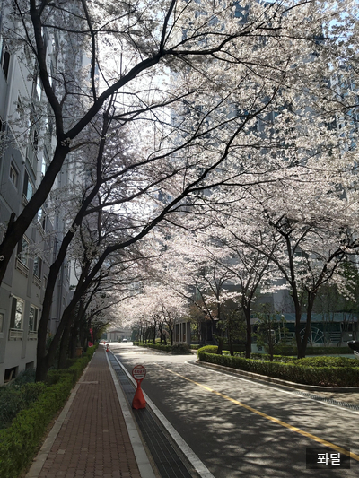  블로그 시작 5개월, 1일1포 158일, 블로그슬럼프?