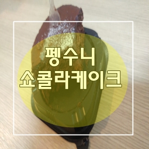  펭수쇼콜라케이크후기 펭수니디저트