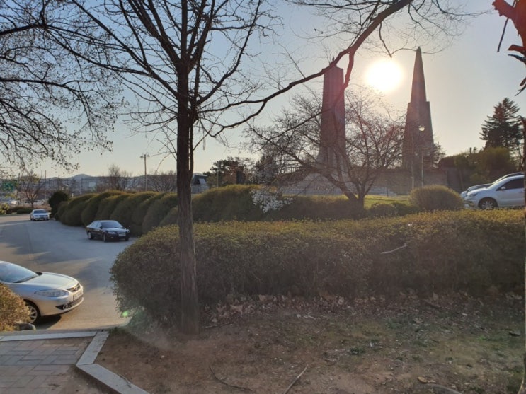  파주 문산 통일공원 텐트피크닉