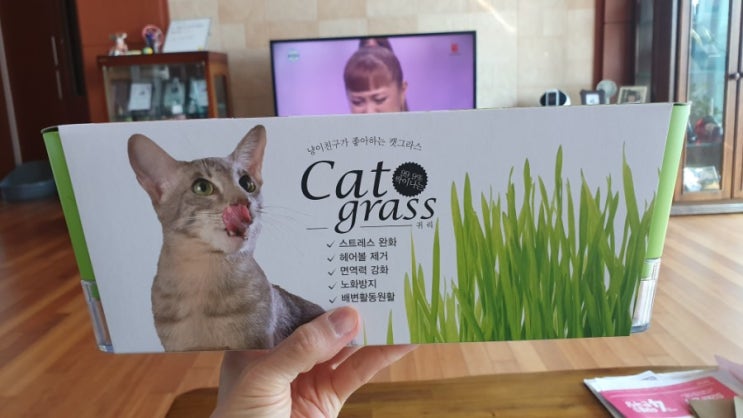  고양이 용품 전문 쇼핑몰 공구톰 09Tom :   냥이친구 투톤 캣그라스 귀리 재배세트