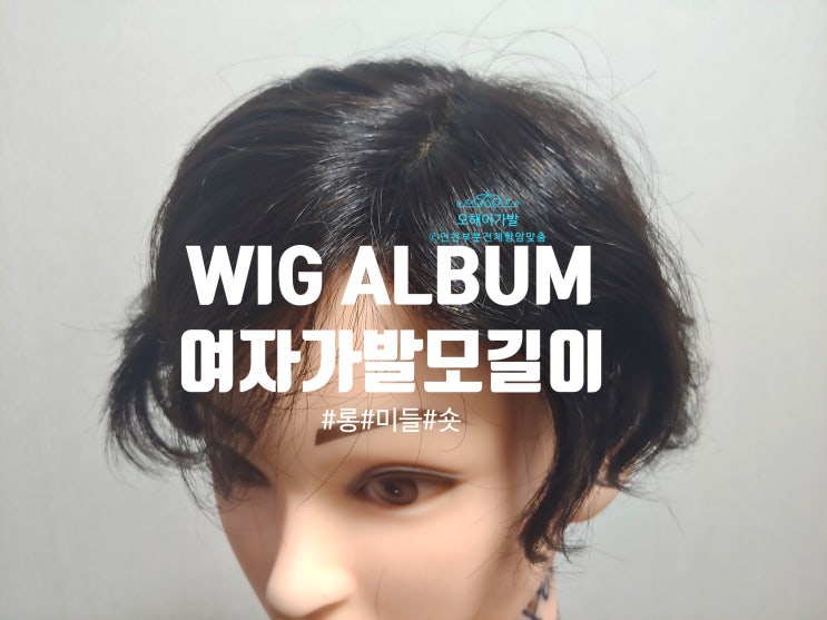  위그앨범 - 롱,미들,숏 여자가발 모길이 구분