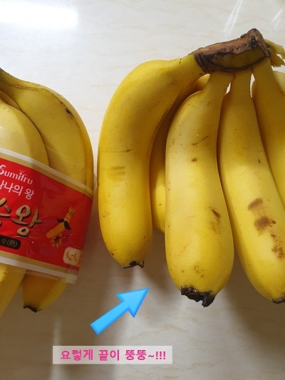  맛있는 바나나 고르는 법 알고계세요? 감숙왕,스미후루 다이어트 바나나, 뚱뚱한거 고르세요