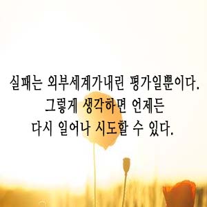  매일필사 하루한문장_스무살에 알았더라면 좋았던것들,티나실리그(경험수집잡화점 with피터님)