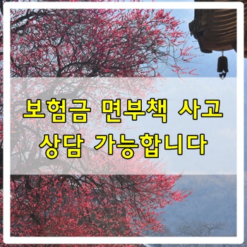  보험금 면부책사고로 인한 상담이 가능합니다.