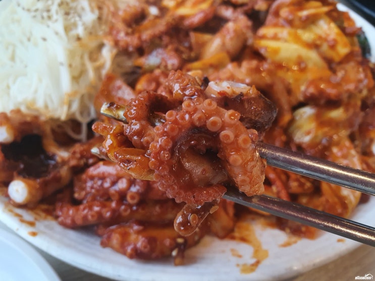  [송추 맛집]매콤한 낙지볶음이 생각날 땐 '팔당 낙지' 송추점