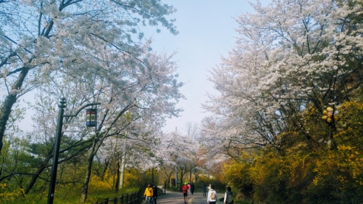  남산 둘레길