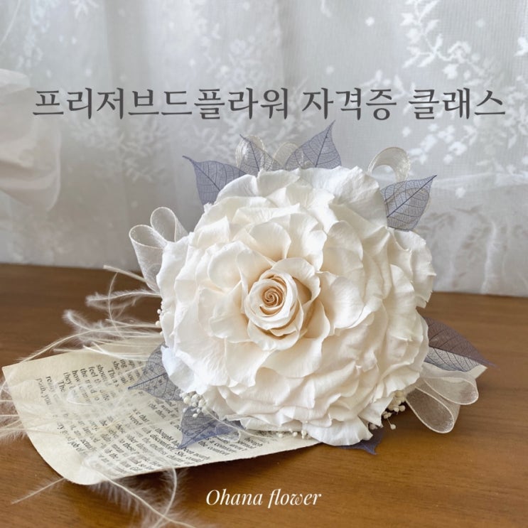 프리저브드플라워 로즈멜리아 부케, 자격증 기초 (창업)클래스 후기  :: 부산 수영 해운대 플라워스튜디오 Ohanaflower