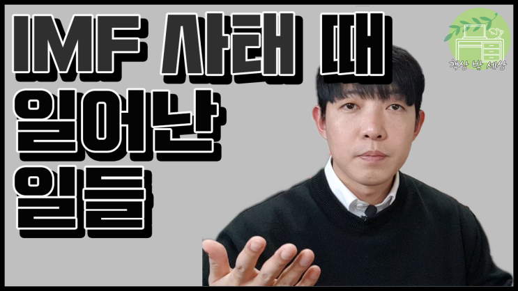  한국의 IMF 외환위기. 경제 공황, 국가부도 직전 까지 간 원인과 상황 총정리