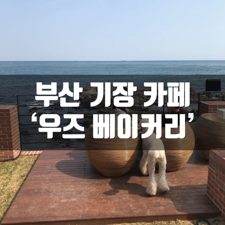  부산 기장 빵 맛집!! 우즈베이커리 카페 (바다랑 날씨가 다함)