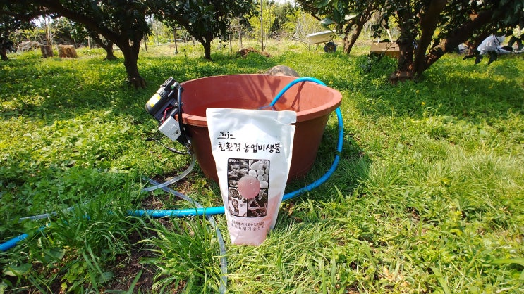 미생물 살포 미생물 살포