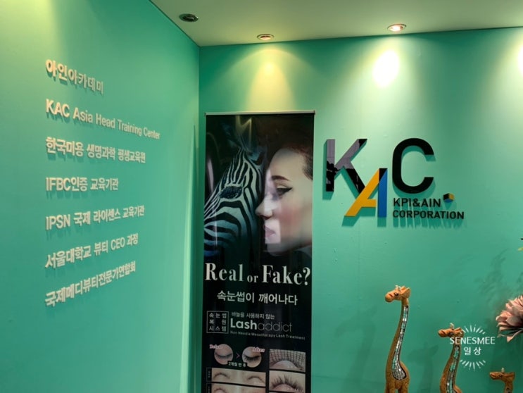  <강남 아인뷰티랩> 자연스러운눈썹은 신논현역 '아인뷰티랩'