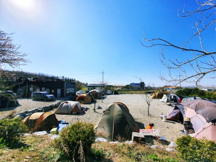  천안 아산 피나클랜드 앞 조용한 월선캠핑장