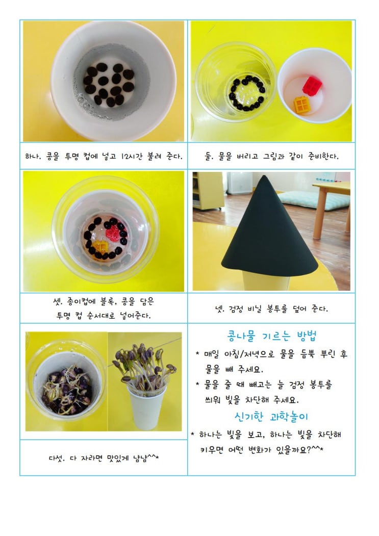 코로나 집콕놀이-초간단콩나물기르기 코로나 집콕놀이-초간단콩나물기르기
