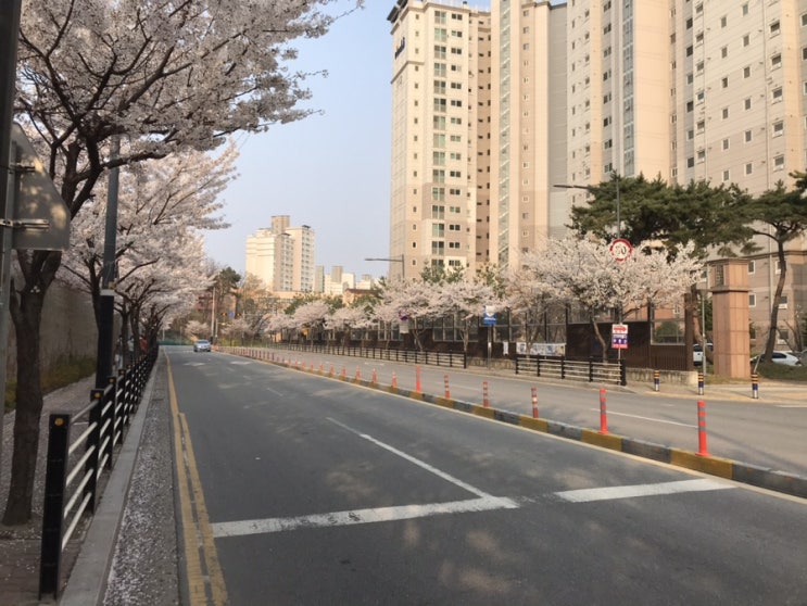 출근길의 여유로움