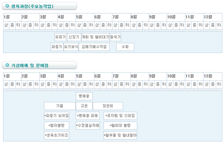  강낭콩 재배과정과 기상재해/병충해 방제법 알아보기