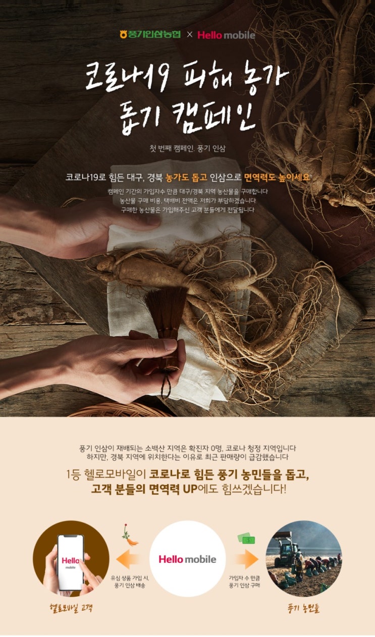  코로나19 피해 농가 돕기 캠페인 ; 그 첫 번째, 경북 풍기 인삼 