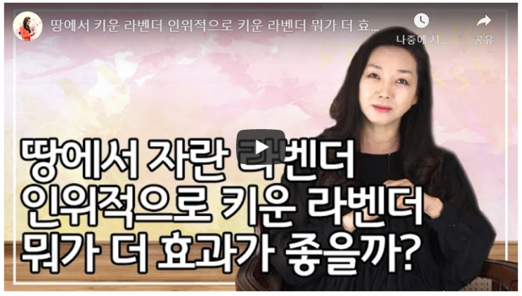  아는만큼 보이는 "라벤더"의 모든것