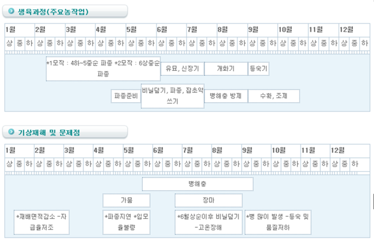  참깨 재배과정과 기상재해/ 병충해 방제법 알아보기