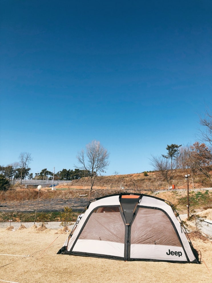  3. 고래숲 캠핑장