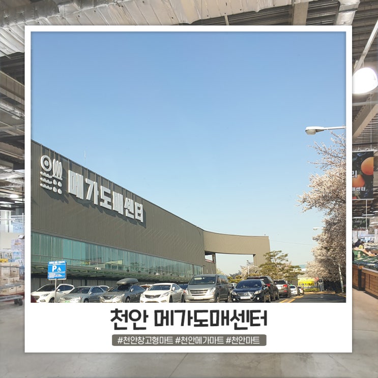 천안 메가도매센터 가격대 괜찮네요 천안 메가도매센터 가격대 괜찮네요