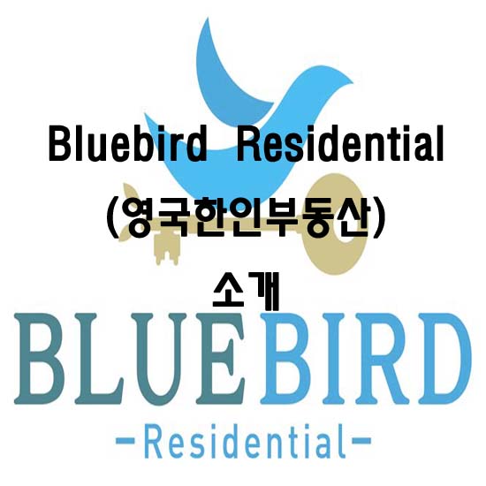 Bluebird Residential 소개(영국 한인 부동산)