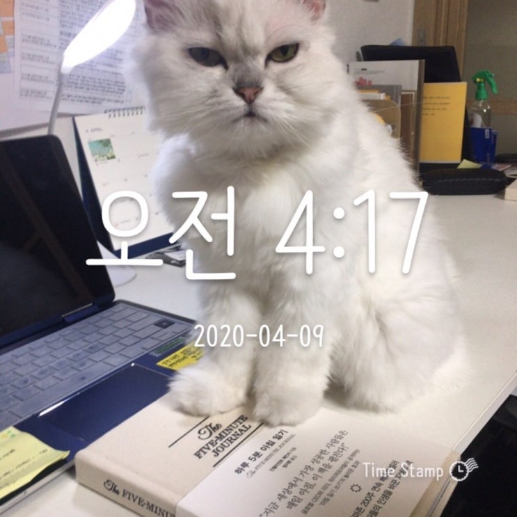  [건강도빛나지예] 마이다노 베이직 케어 4월 온라인 PT 4일차 / 힘들힘들