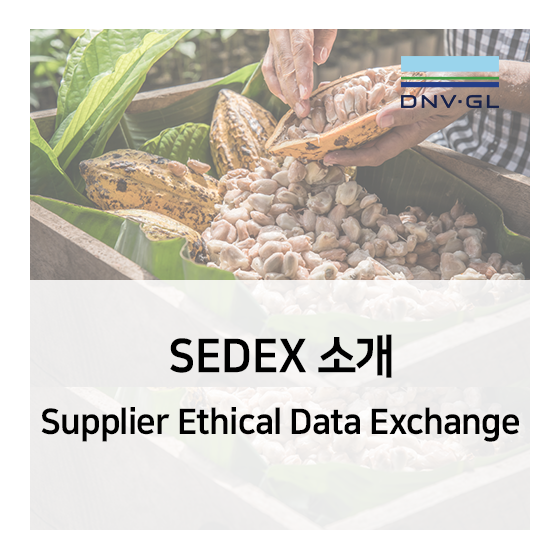  [DNV GL] SEDEX(Supplier Ethical Data Exchange) 소개