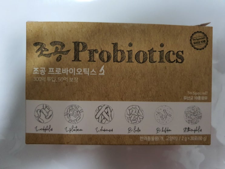 고양이 유산균 고양이 유산균
