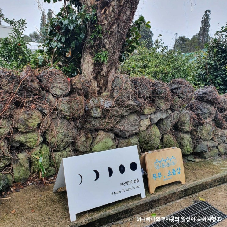  제주도 한달반살기, 서귀포 감성카페&소품샵 추천 [여섯번의보름, 무무제주]