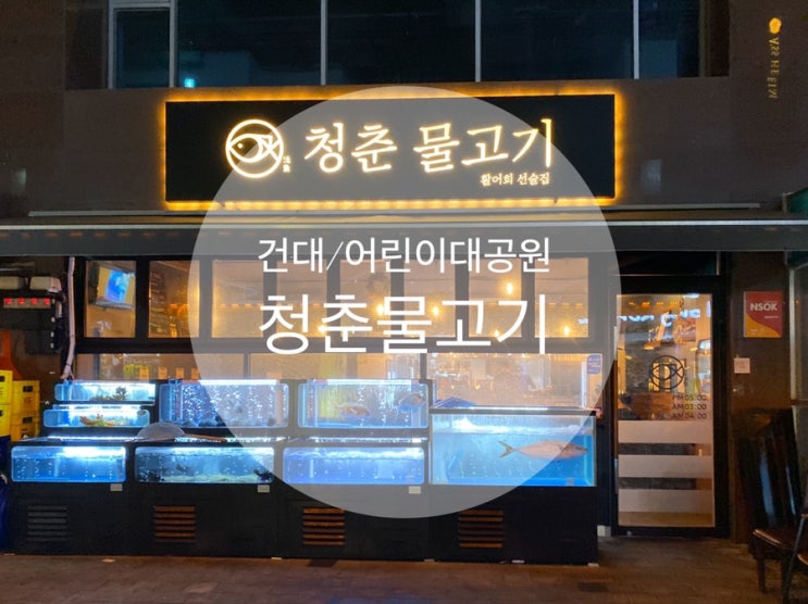  건대/세종대 ; 깔끔하고 가성비의 회가 당긴다면 『청춘물고기』 (feat. 맛있는 방어먹는 Tip)