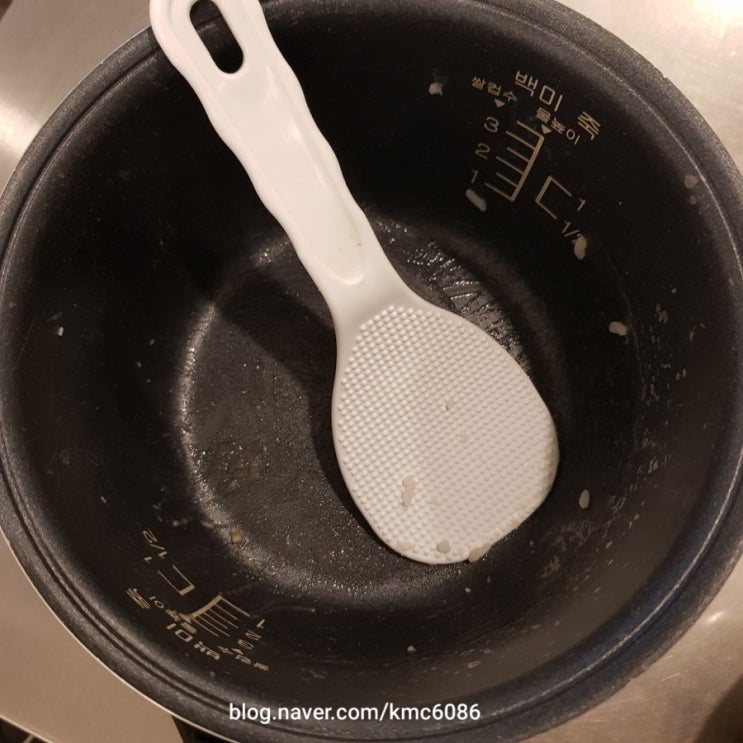  밥솥째 비운 김치찌개 대구 경대 북문 맛집 대독장