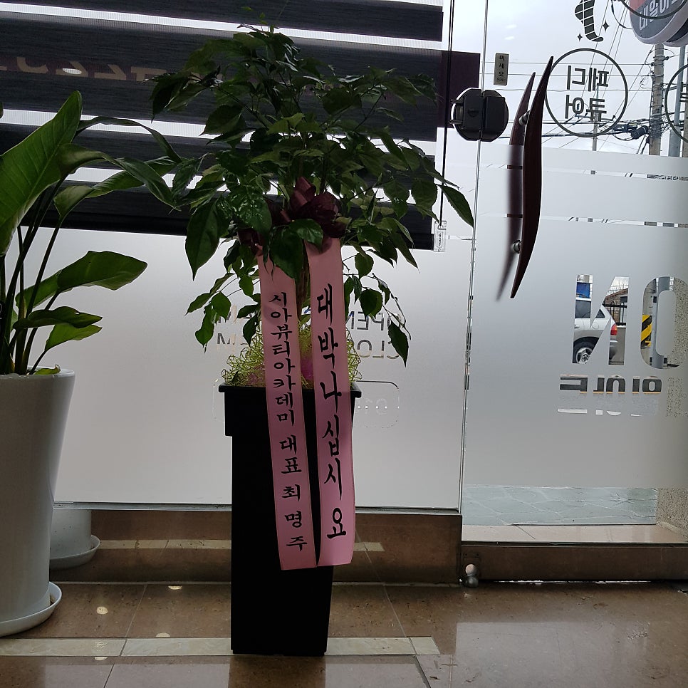 온네일 사진 5