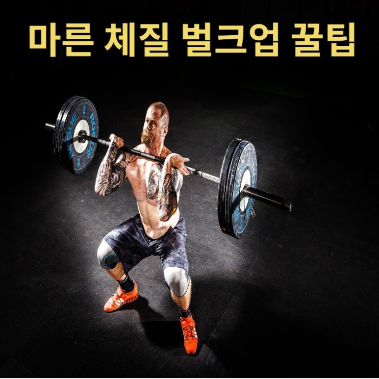  마른 체질 벌크업 꿀팁