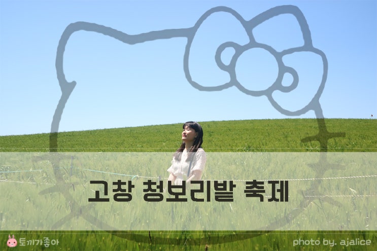 고창 청보리밭 축제 푸르름에 반해요 고창 청보리밭 축제 푸르름에 반해요